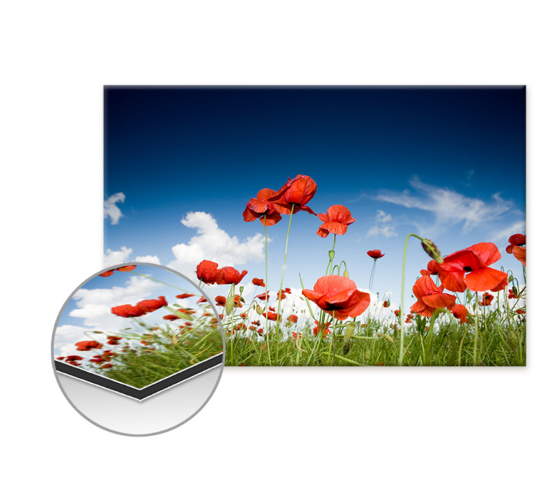 Poster auf Alu-Dibond Querformat Standard