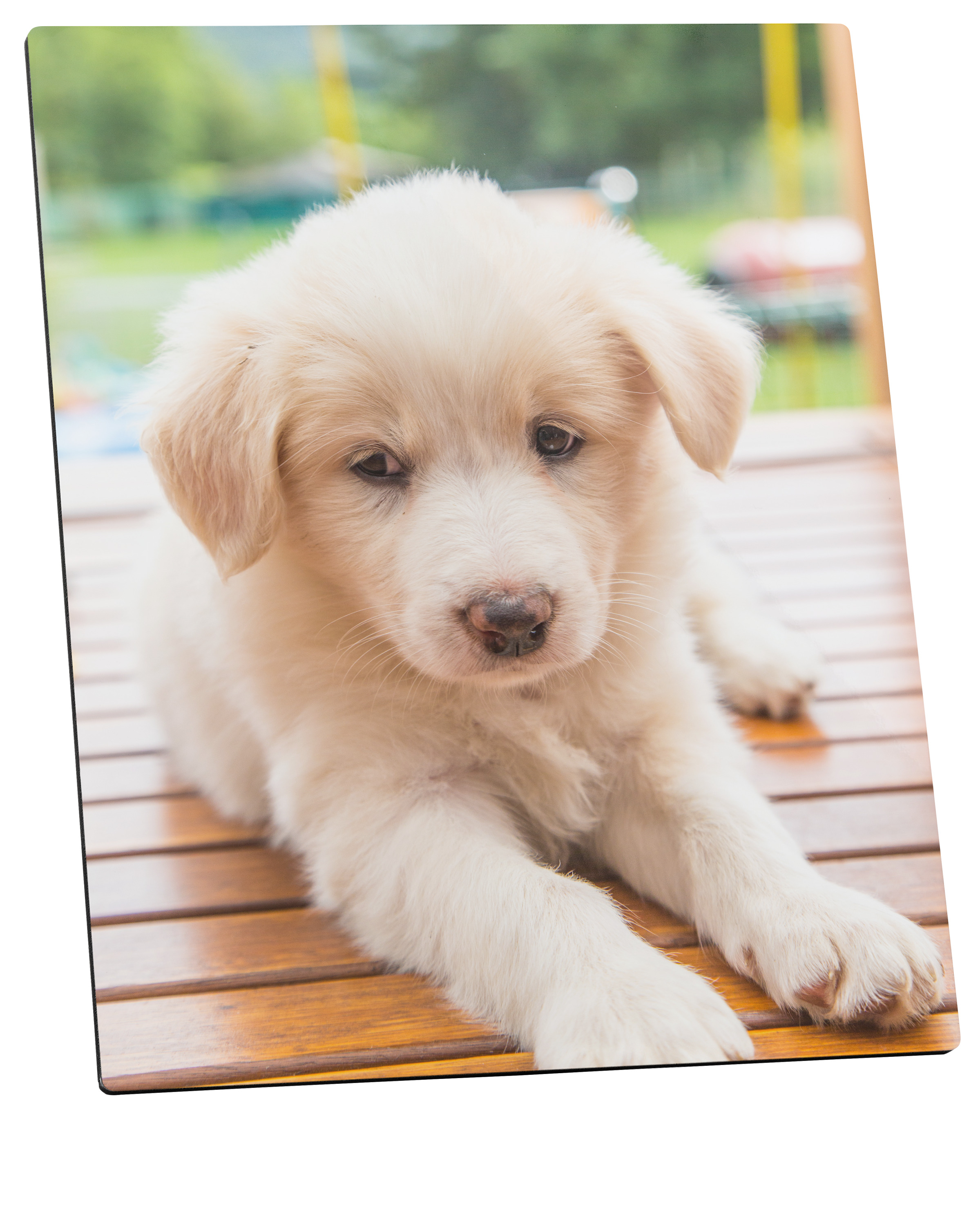 Fotoaufsteller 20 x 25 cm